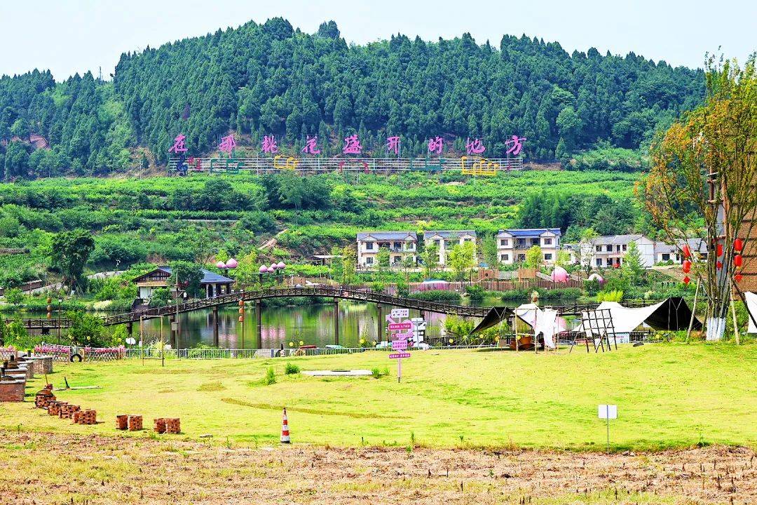 省文学艺术发展促进会(以下简称省文促会)深入遂宁市大英县采风调研