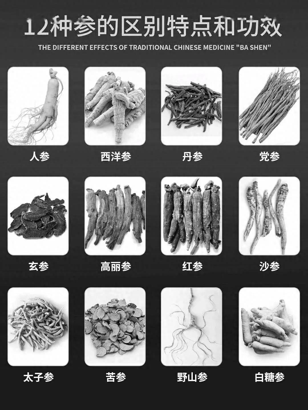 从人参到野山参,一文带你了解12种参的独特之处