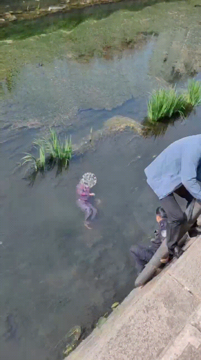 还记得4月份那超帅一跳吗,辅警赵伟获"见义勇为模范",好样的