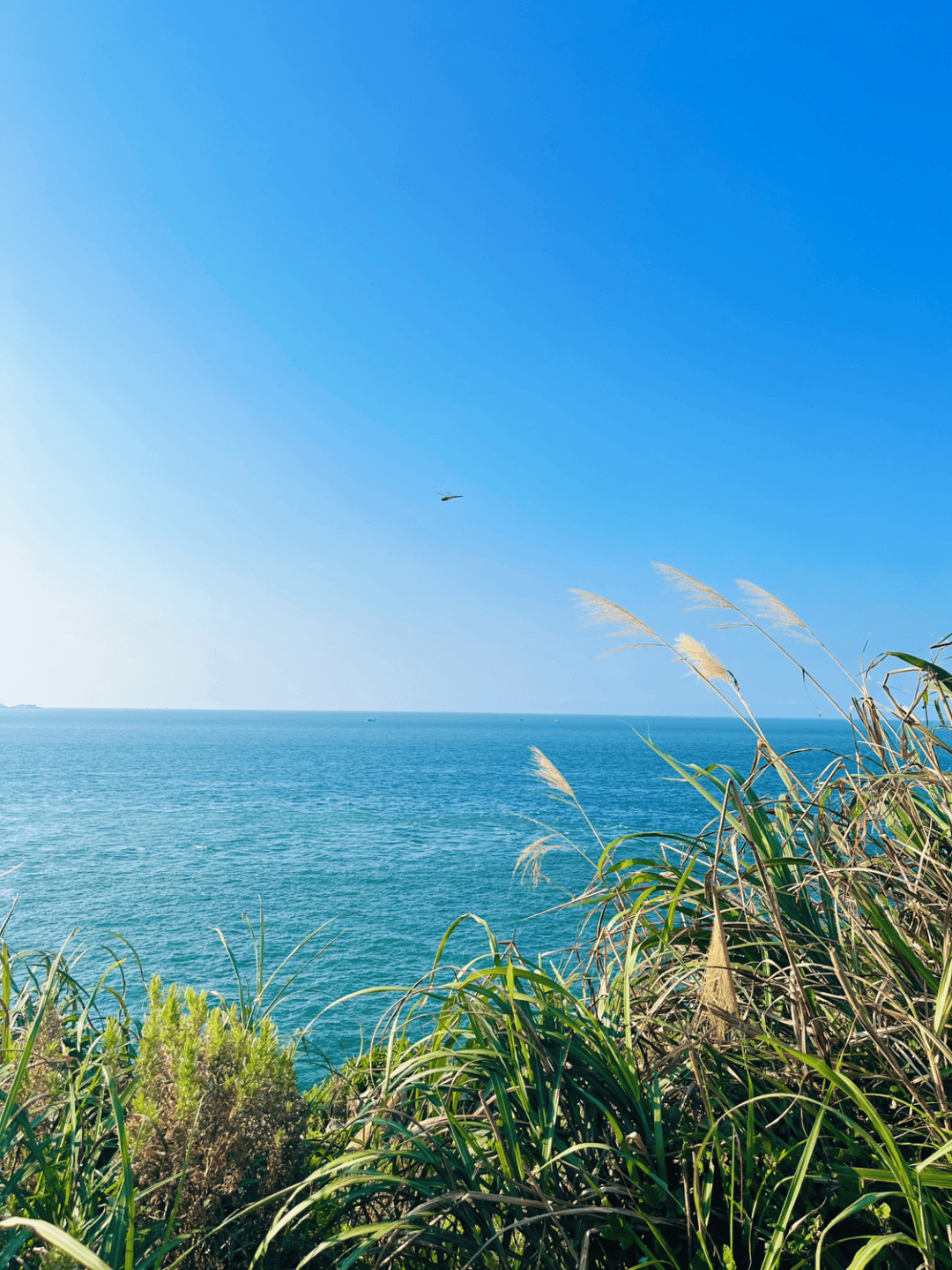 夏天风景图真实图片