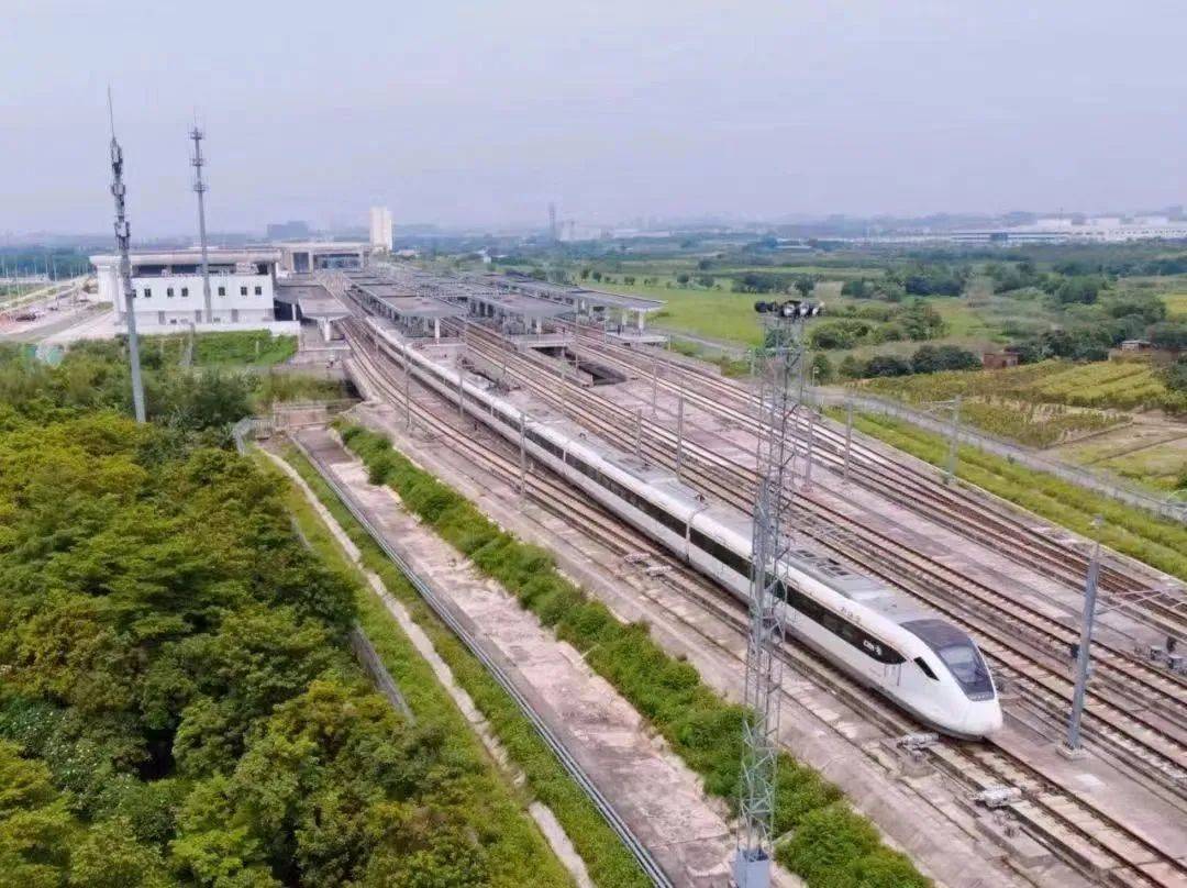 粤港澳大湾区最长