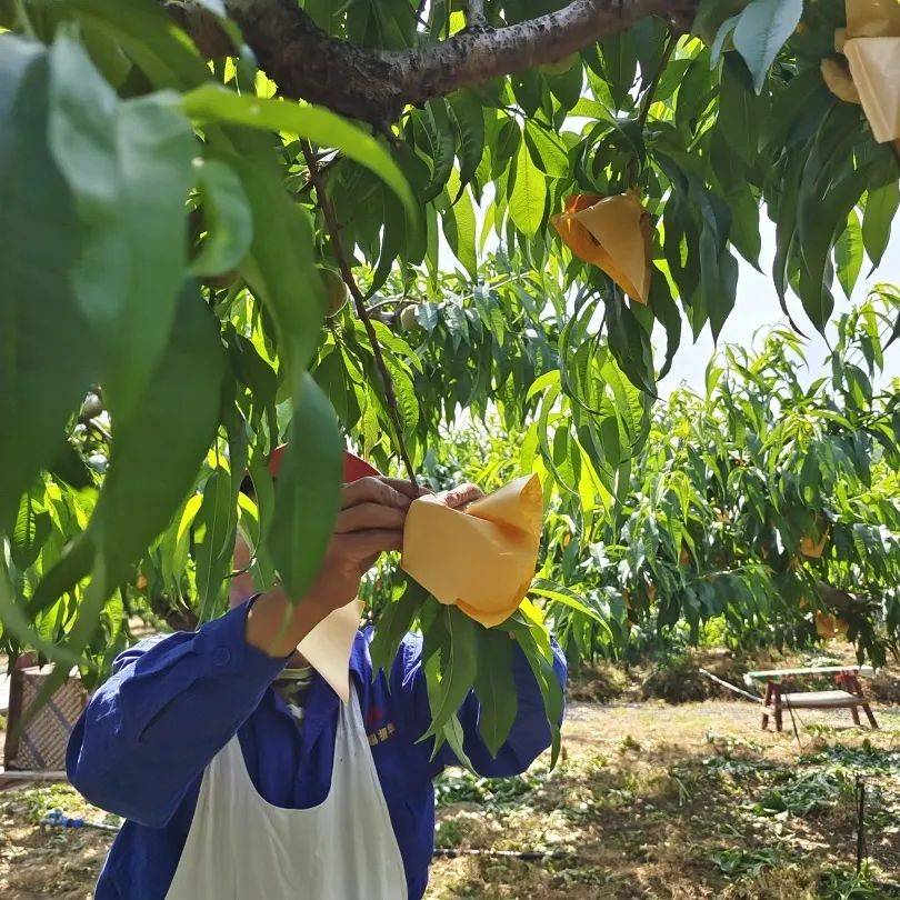 当初夏的无锡乡村,遇上"粘土风"