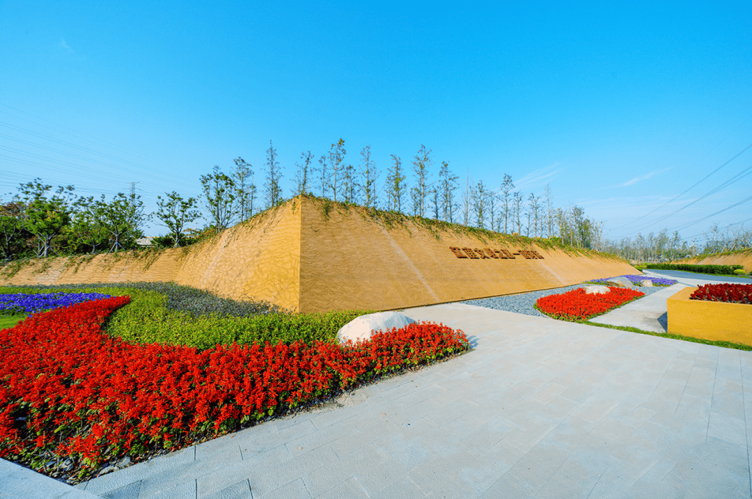 特别策划丨这"young"的大桥镇