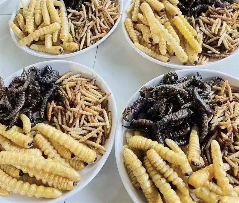 口普洱"虫宴"发现隐藏在自然中的美味秘密留下最难忘的夏日记忆end文