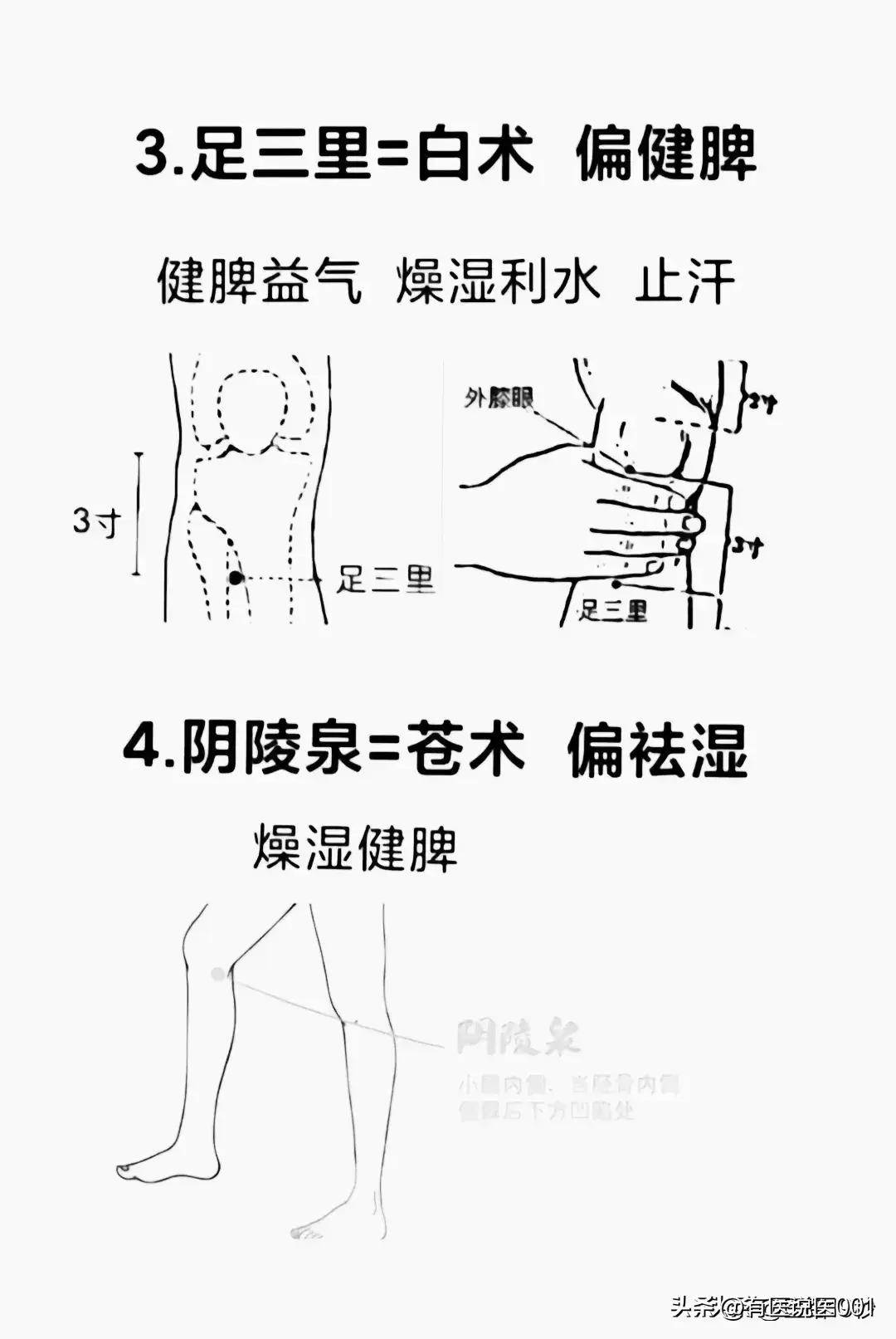 五行针减肥位置图图片