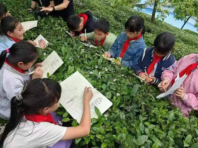 🌸河山新闻【一肖一码免费公开资料大全】|湖南师范大学：构建大健康协同育人机制 为学生体质健康保驾护航  第5张