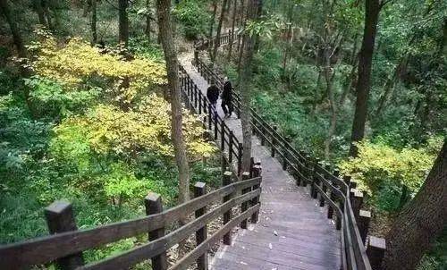 襄阳_方山_步道