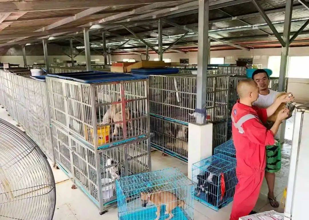 上海报恩寺普渡众生身陷困境,恳请大家伸出援手共渡难关!