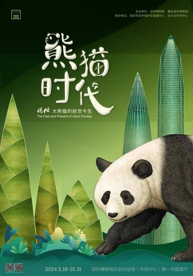 关于熊猫和它的"亲戚们"