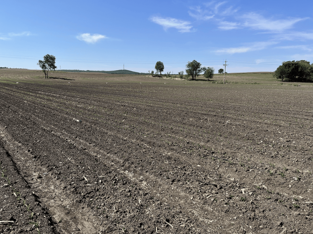 (记者 王甜田)农业科技试验示范基地是展示农业科技服务活动,加速科技