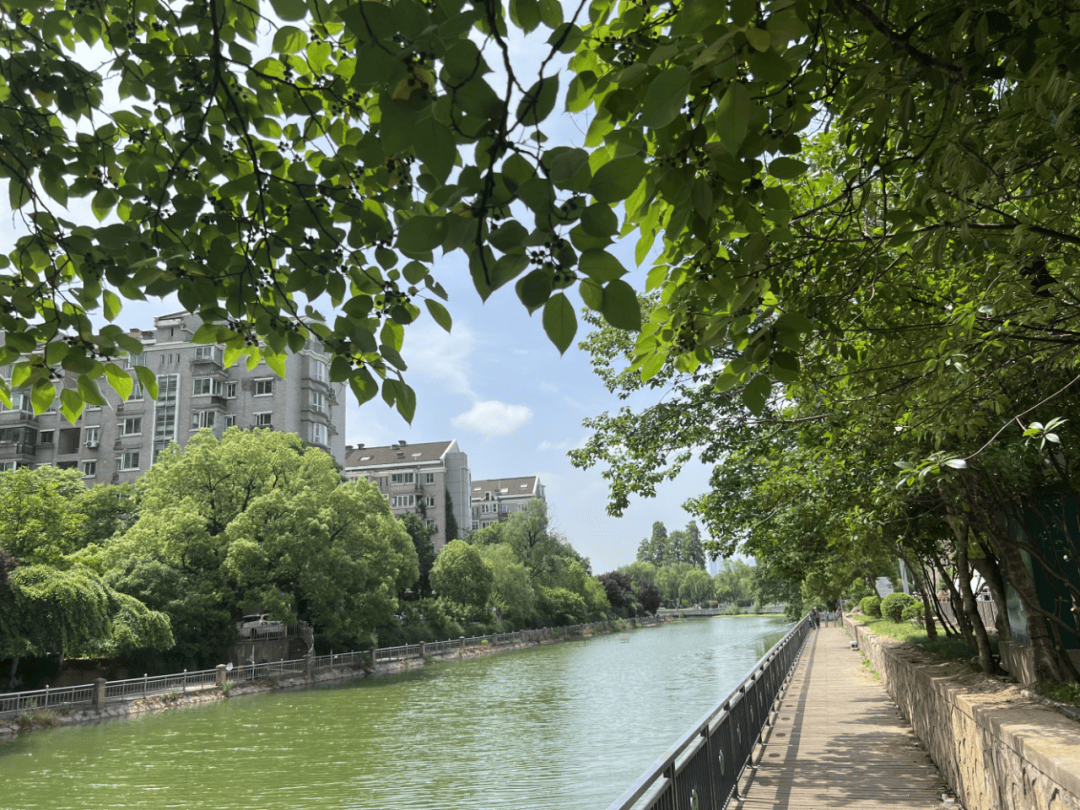 健康的河也是美丽的河分段造景,围绕巩固黑臭水体治理成效和消除劣Ⅴ