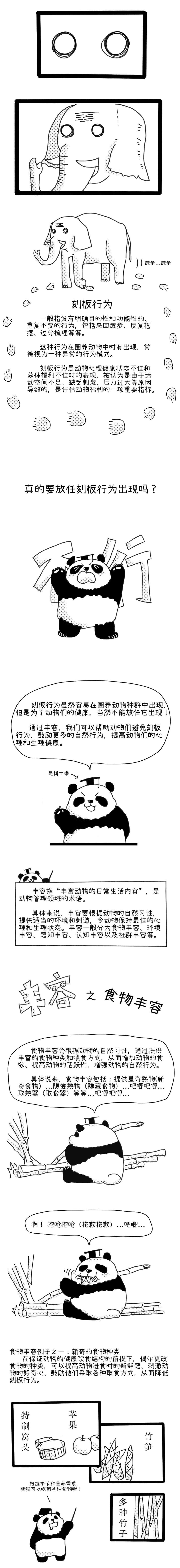 多样性日丨黑白的多彩世界——迁地保护大熊猫丰容科普漫画(第一话)