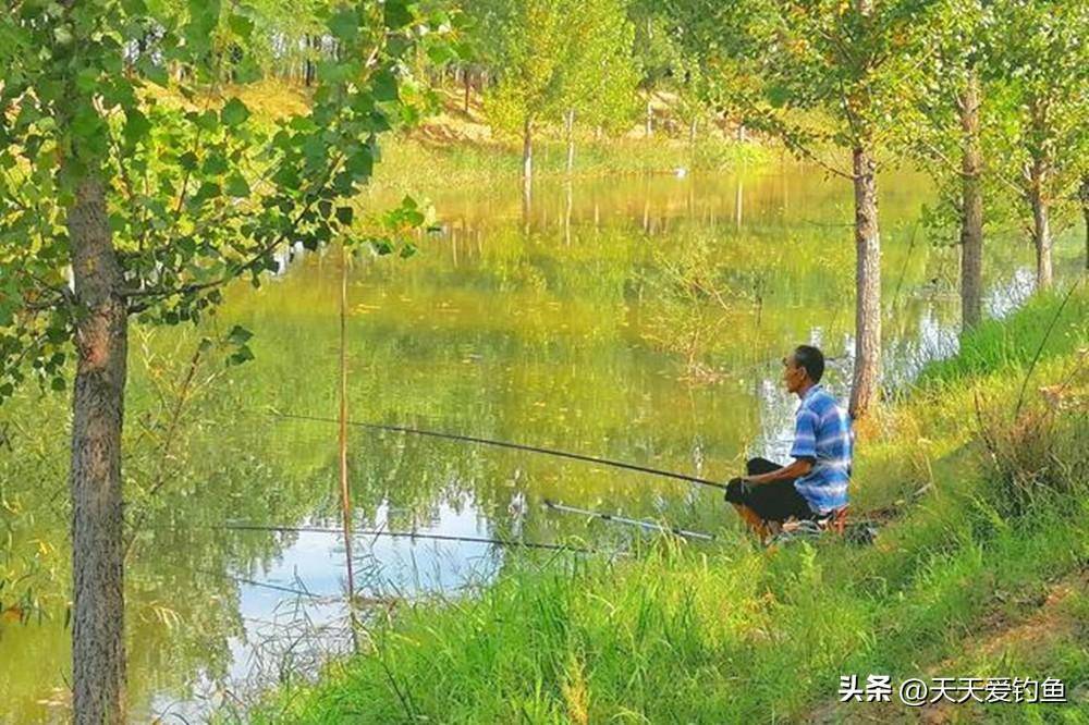 夏天钓鱼照片图片