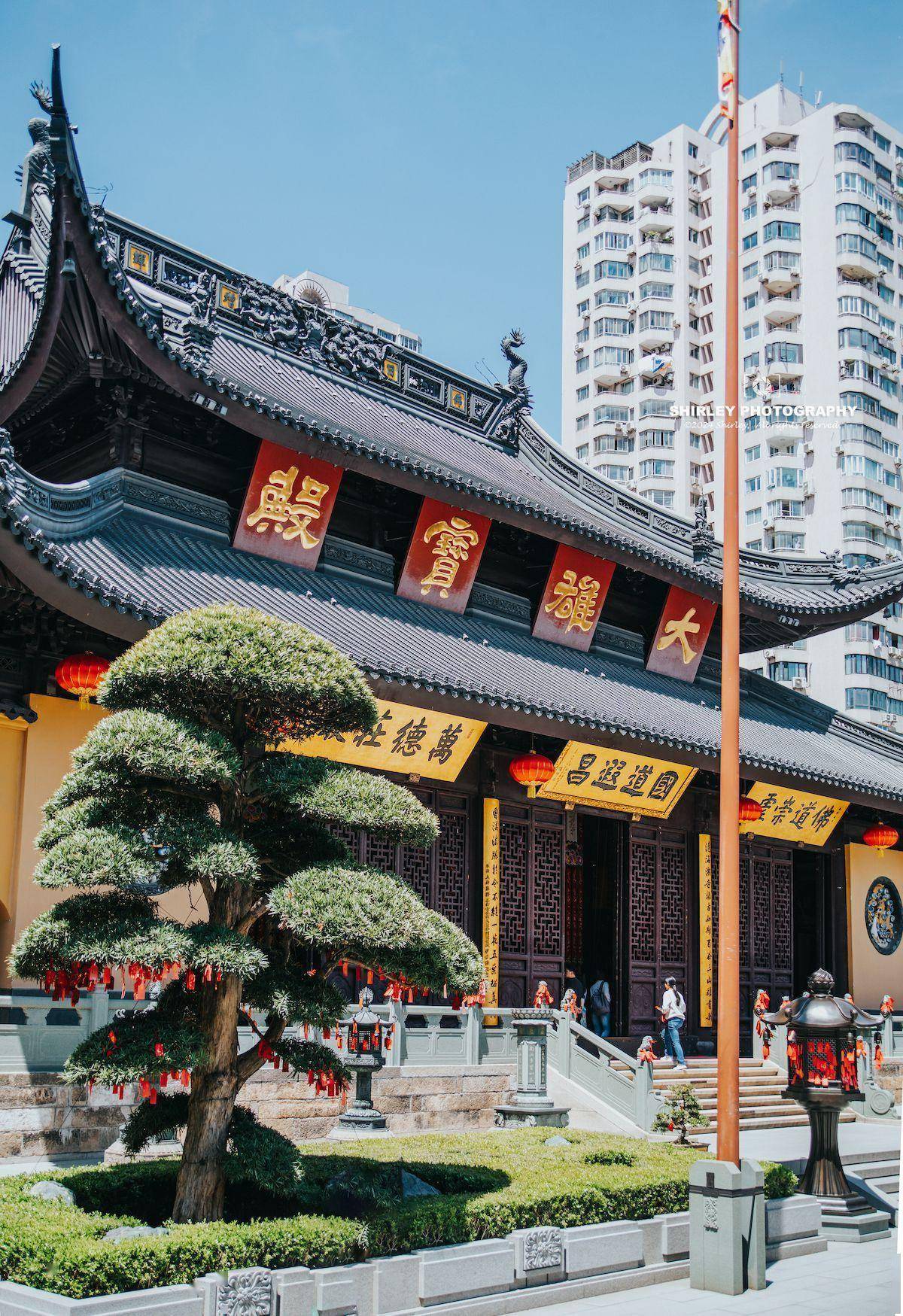 上海省殿禅寺图片