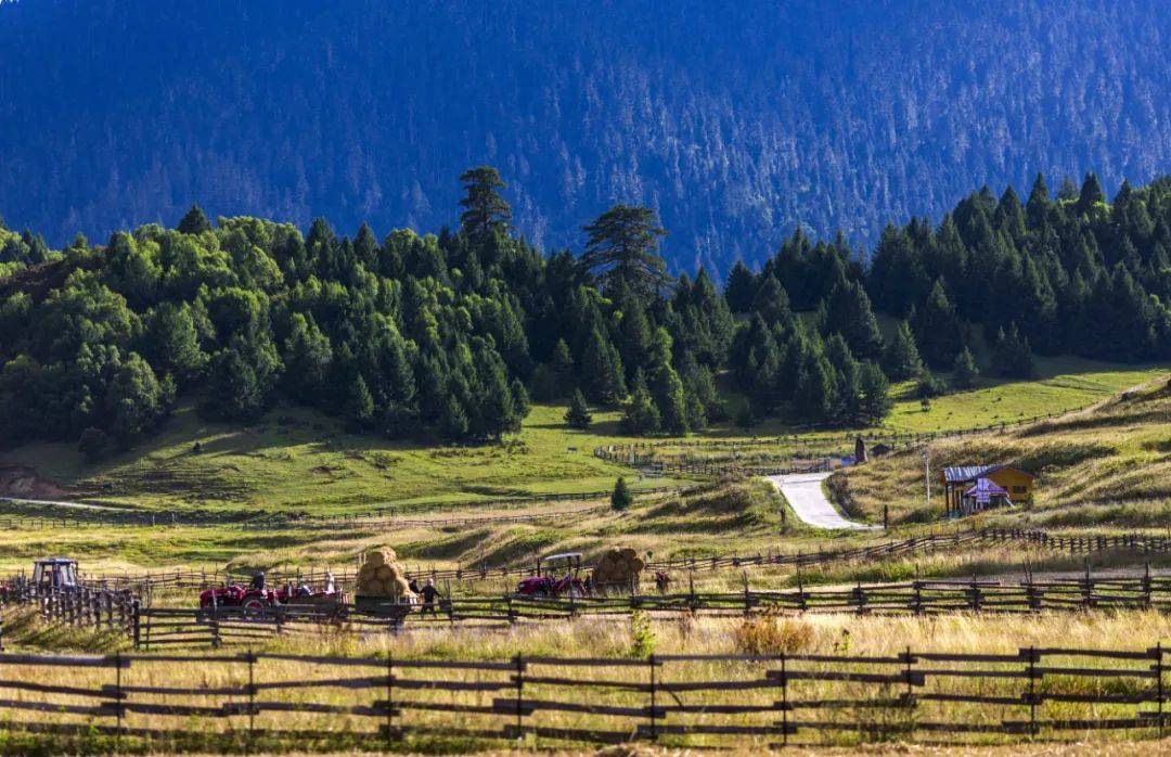 集合点:西藏林芝
