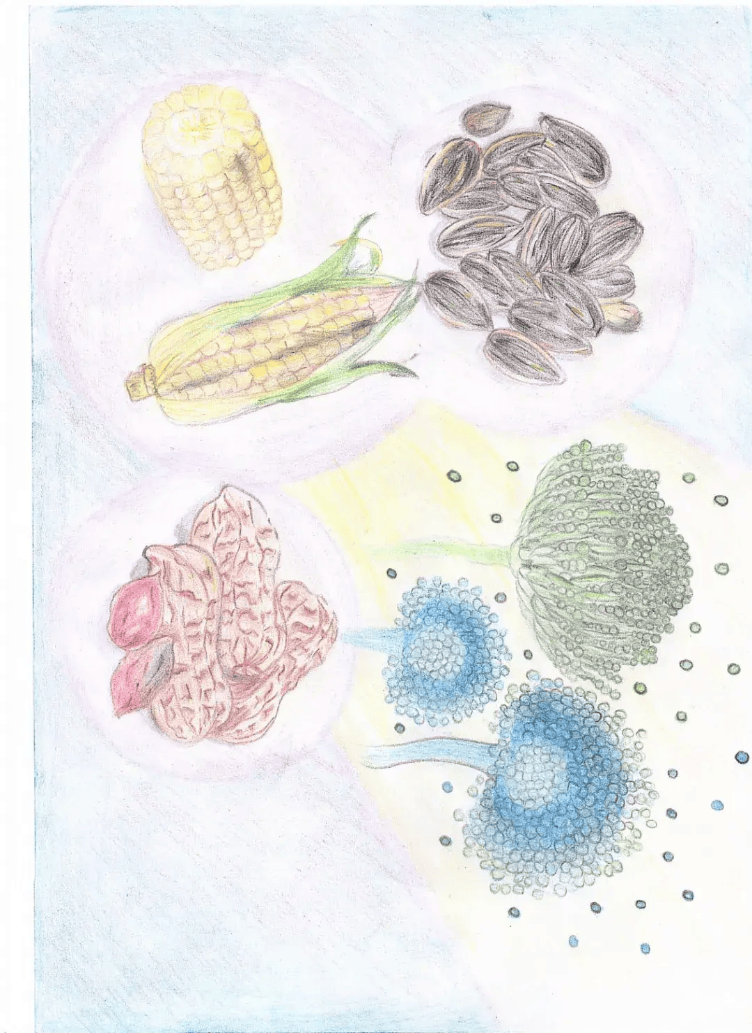 山西医科大学汾阳学院举办第二届病原生物学形态绘图大赛