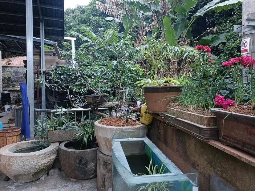 增城1村12户入选市首批"美丽庭院"和示范村