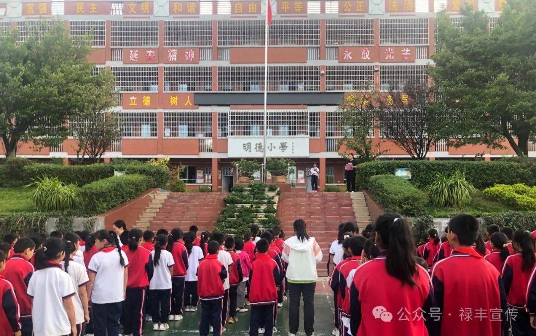 乡村少年宫:点亮乡村孩子的多彩梦想_金山镇_活动_建设