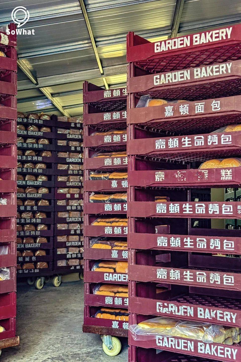 不出意外,我明天会早起去"嘉顿食品厂"抢面包!