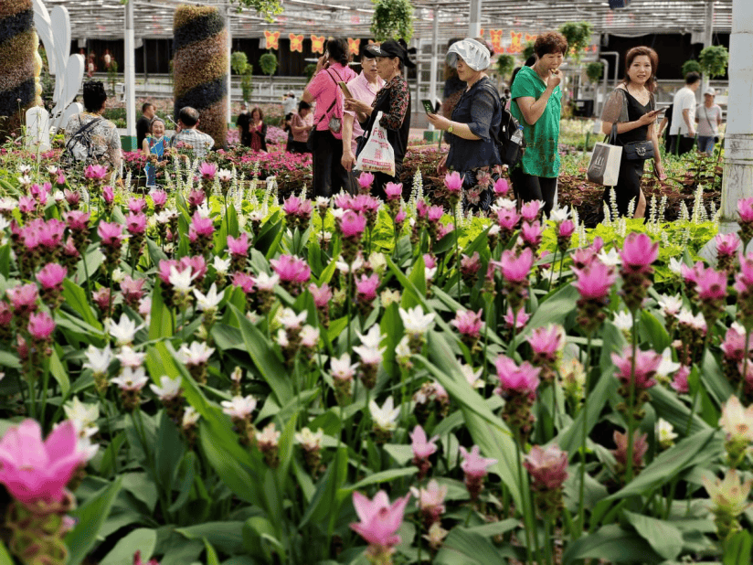 长春农博园是中国长春国际农业·食品博览(交易)会(简称长春农博会)的