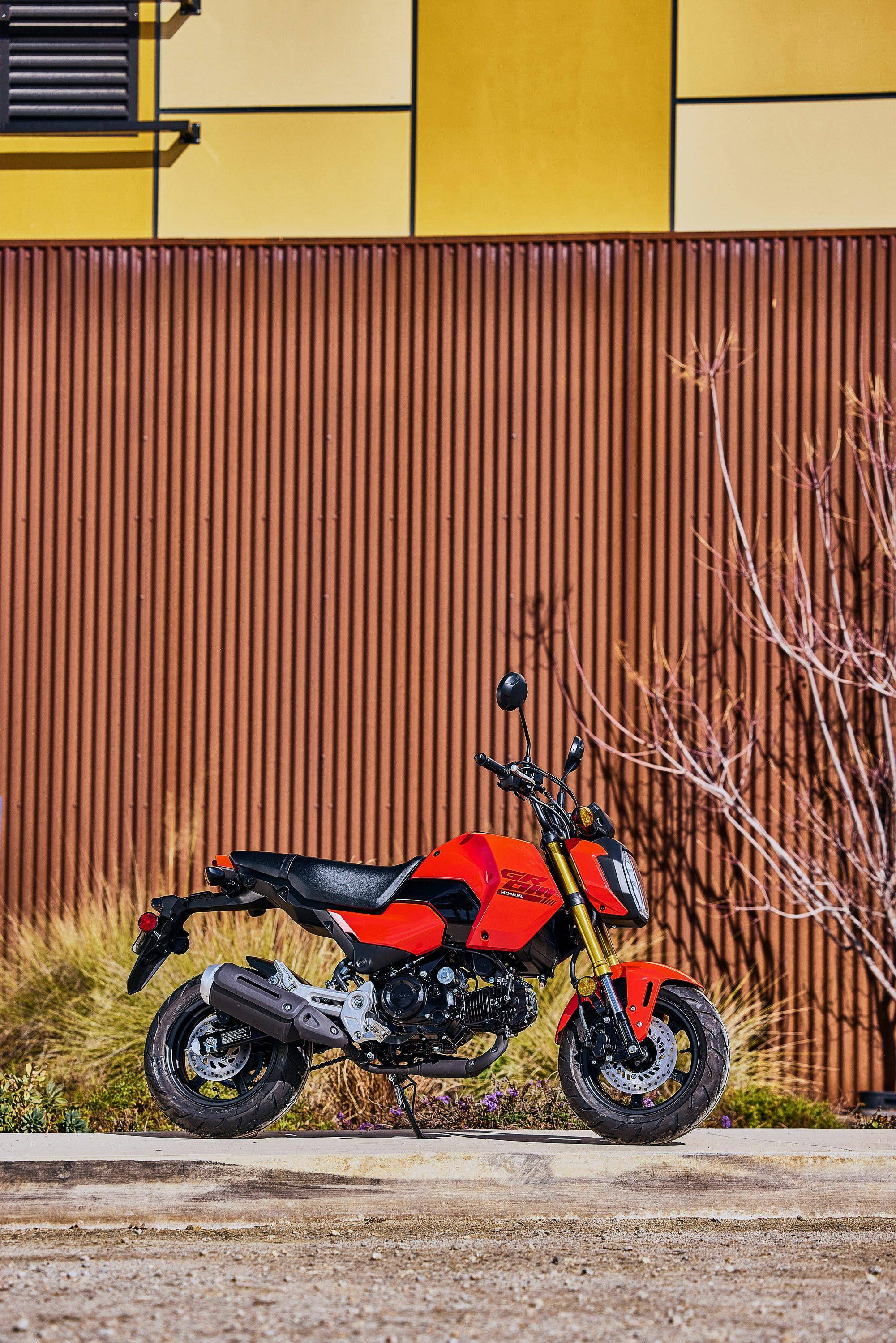 户外特写:honda 2025 grom 迷你车美国版