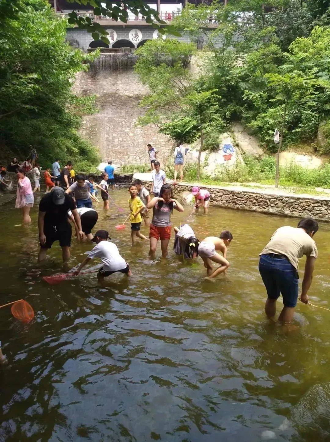 摸鱼戏水,萌宠互动,赏花夜游. "猴哥"陪你过六一