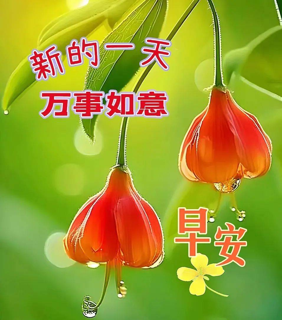2024年6月1日最新早上好祝福语图片大全 今日精选早安问候祝福图片带