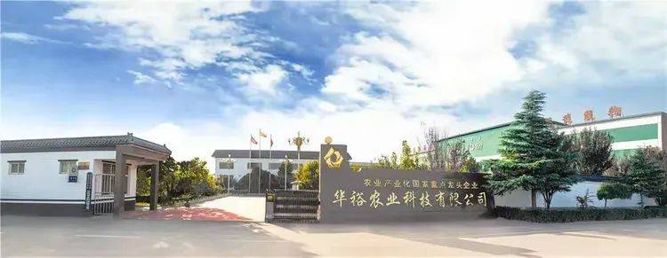 公司下属的临漳县鼎科农业研究院常年承担河北省农业农村厅玉米新品种
