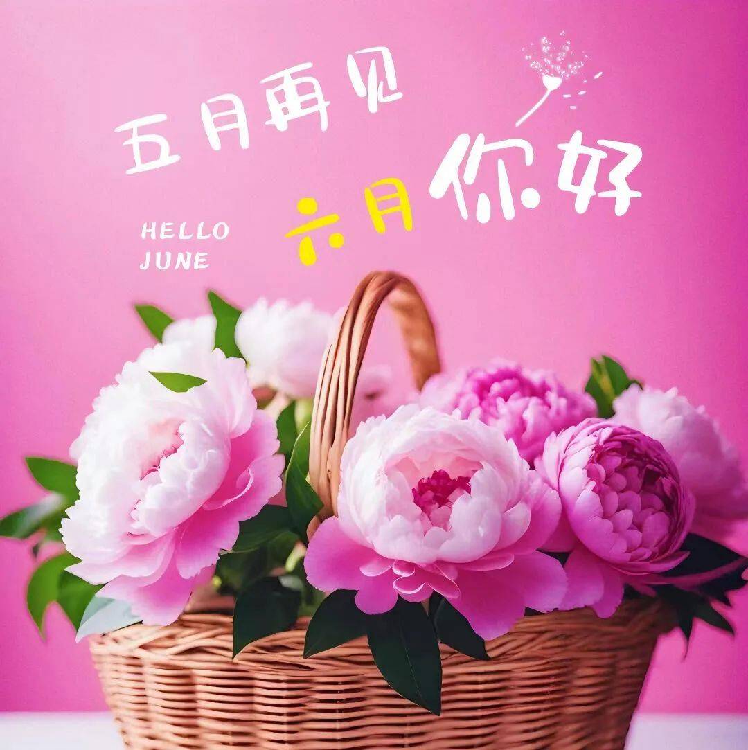 2024年6月1日最新早上好祝福语图片大全 今日精选早安问候祝福图片带
