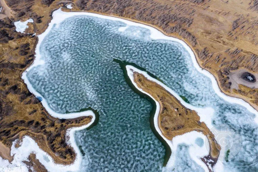 《熊卧龙潭》08温志超(内蒙古通辽)拍摄于奈曼旗孟家段.