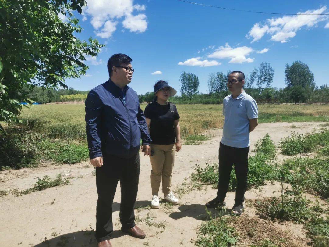 6月1日,区园林绿化局副局长郭启志带队对温榆河公园顺义二期蓄滞洪区