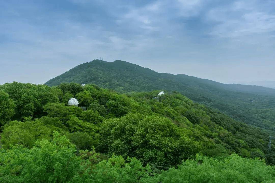 从山脚下一路沿小路爬上山,或者直接开车到半山腰的灵岩寺再开始爬都