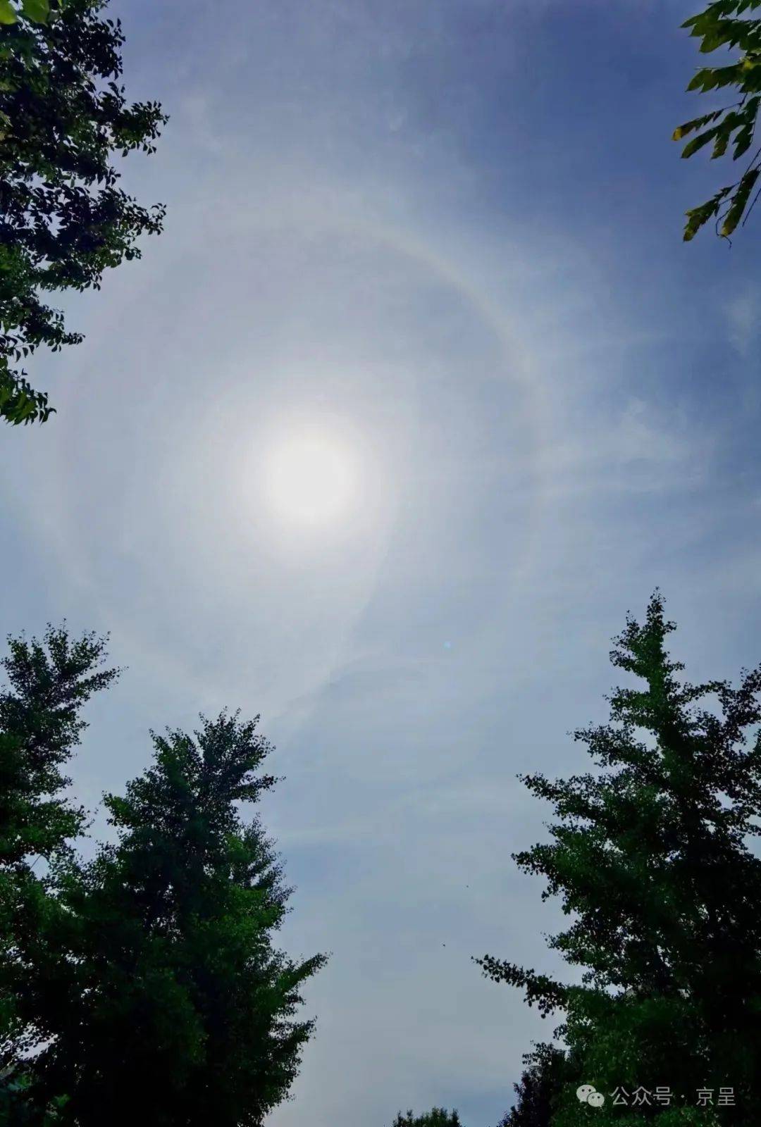 看北京现日晕光环里有颗五角星