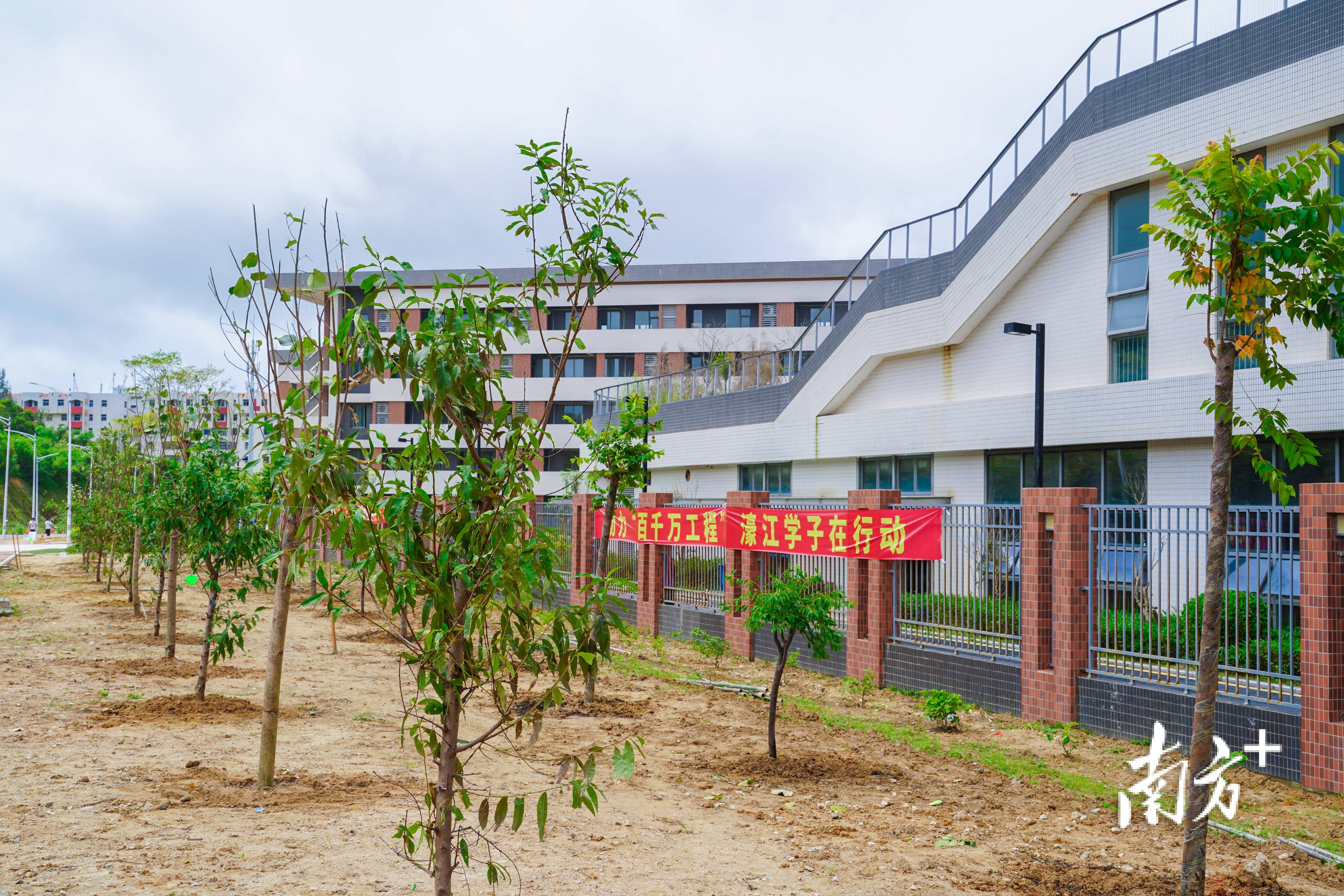濠江区开展"学子林"植树活动,助力绿美生态建设