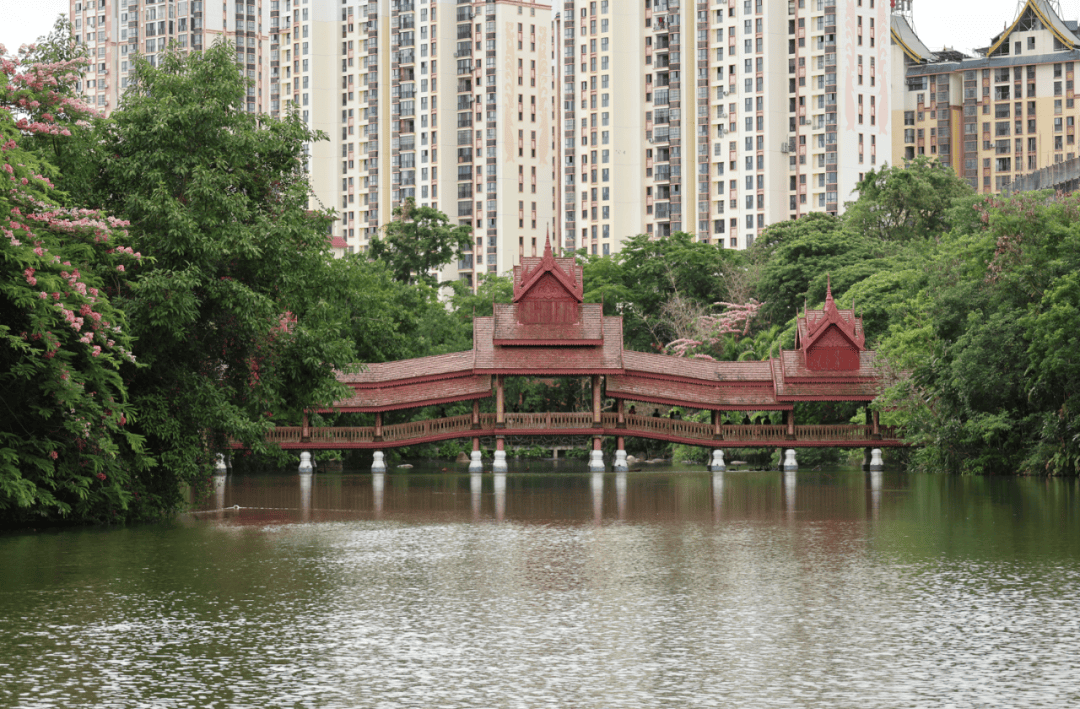 【文化中国行】乘着高铁开启"开放包容·中老铁路交融