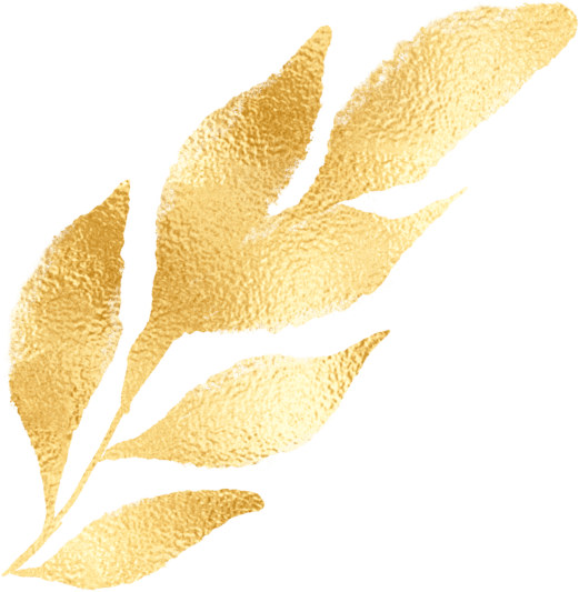 福州第七中学2024年普高音乐特长生,体育特色班专业入围切线分数,专业