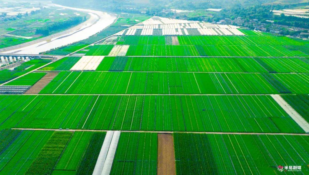 农田(图源 | 米易融媒)据介绍,今年计划在冕宁,米易,盐边,仁和四个县