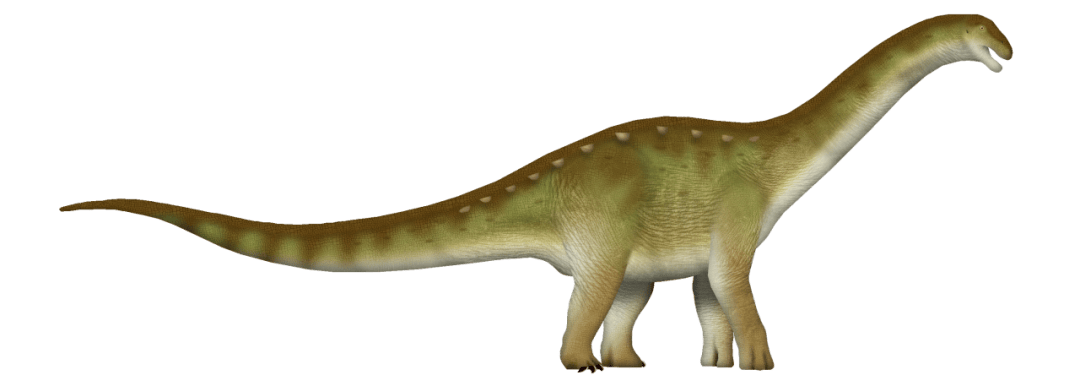 【恐龙王国】来自南美洲的最小泰坦巨龙