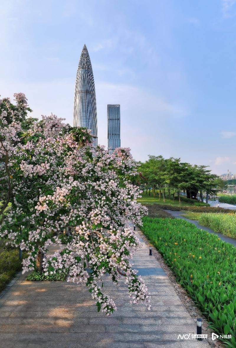 🌸【澳门天天彩免费资料大全免费查询】🌸_城市生态与文化传承的融合之旅