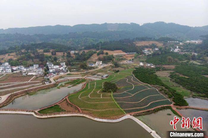 川渝两村深耕一块"试验田"_隆昌_三合村_内江