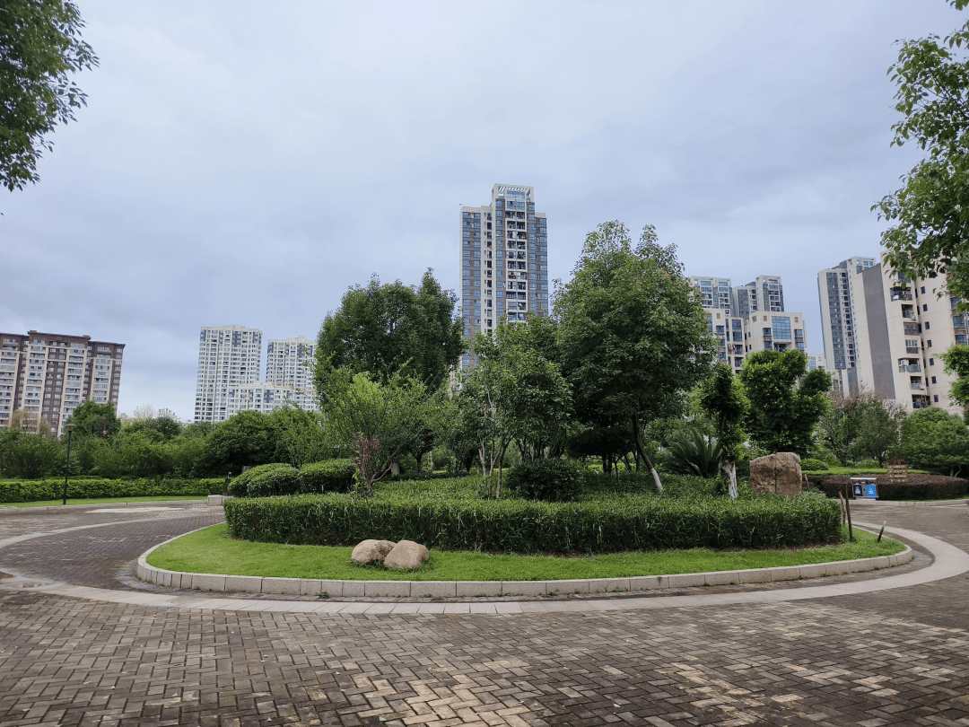 小游园大变化,装满群众幸福感_景观_管理_病虫害
