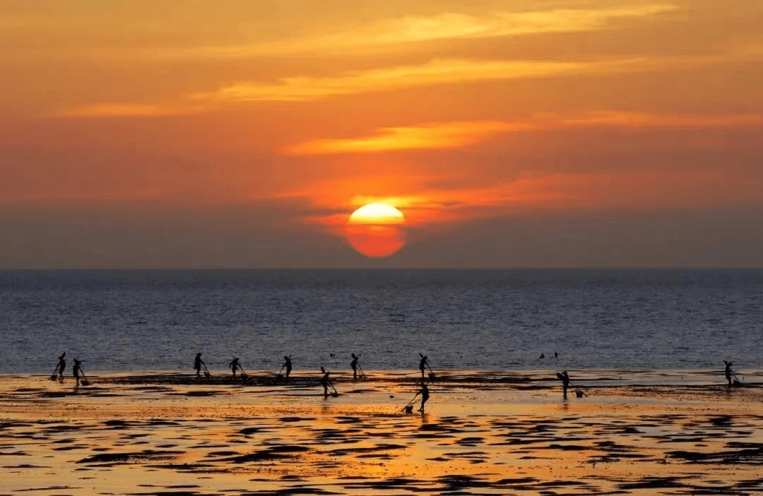 一江清水万重山丨万里长江由此入海,南通细绘生态保护"工笔画"