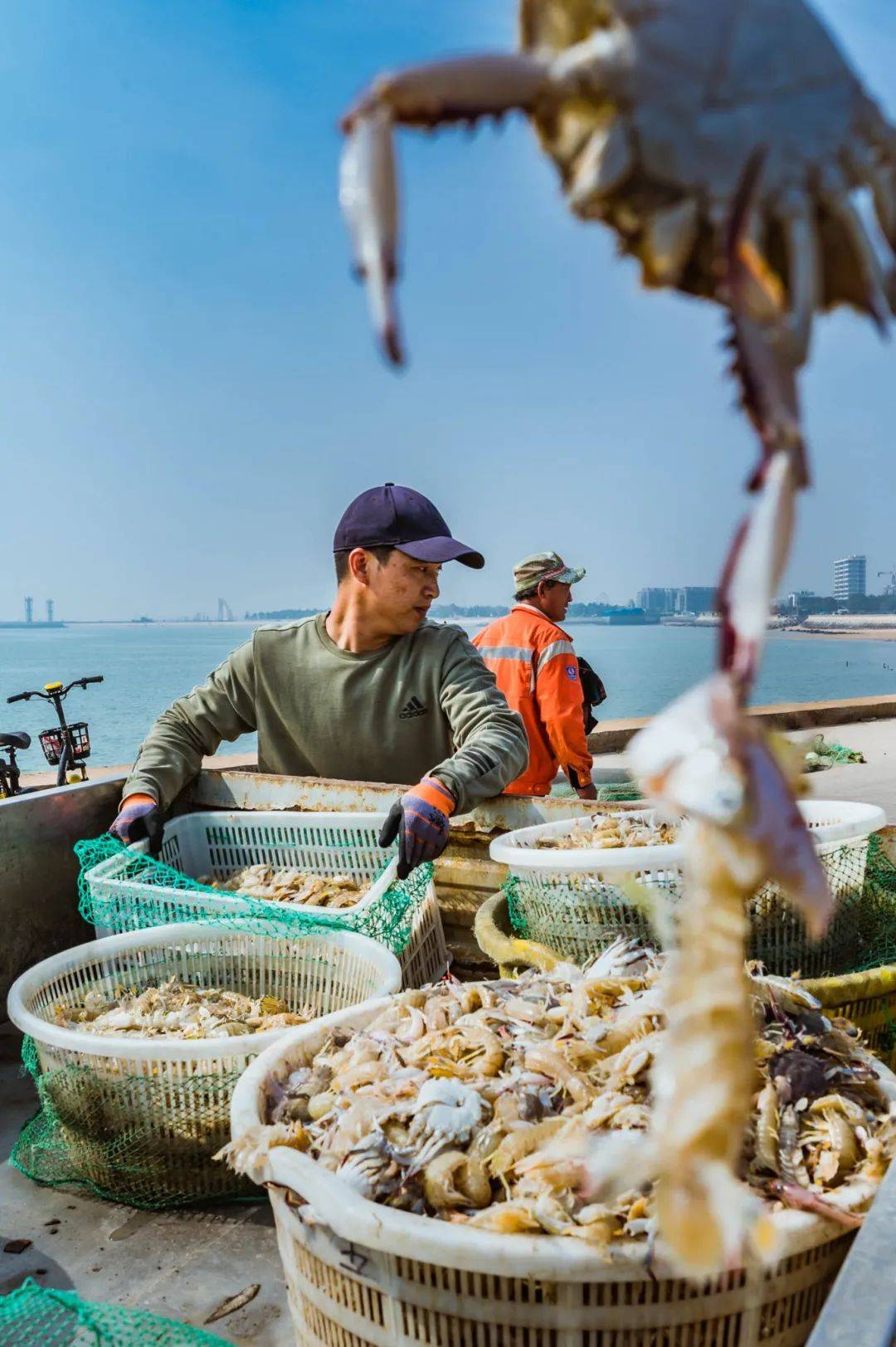 一口品山海！这些不可错过的日照美食，你尝过没？