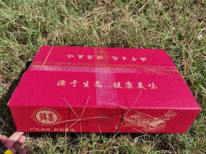 快手抖音搞笑段子_抖音快手梗_快手b站内涵段子抖音