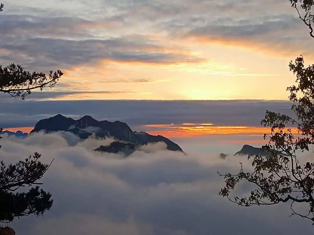 避暑圣地灵宝欢迎您_东寨村_夏日炎炎_黄河