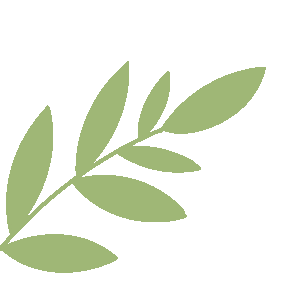 畅享青春·筑梦未来,不负韶华·扬帆启航 | 临床医学