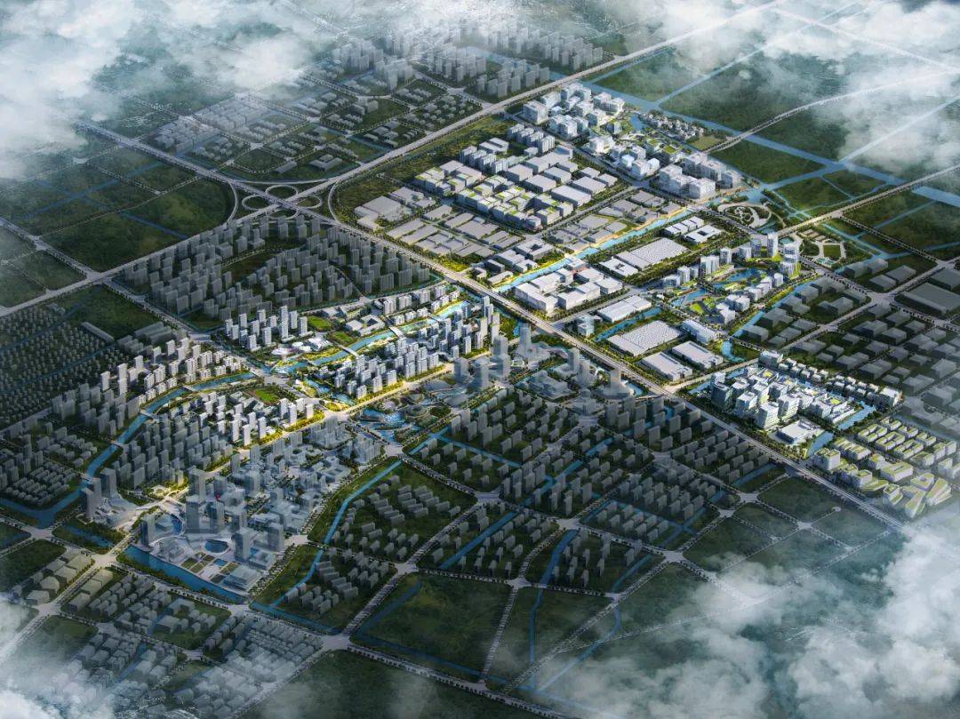 金花",即:上海金鼎,上海金环,上海金滩,上海金湾,上海金谷,上海金港