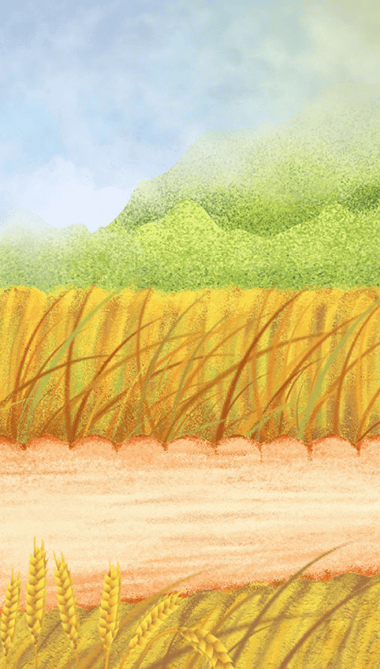 渌沼莲花放,炎风暑雨情.相逢问蚕麦,幸得称人情.