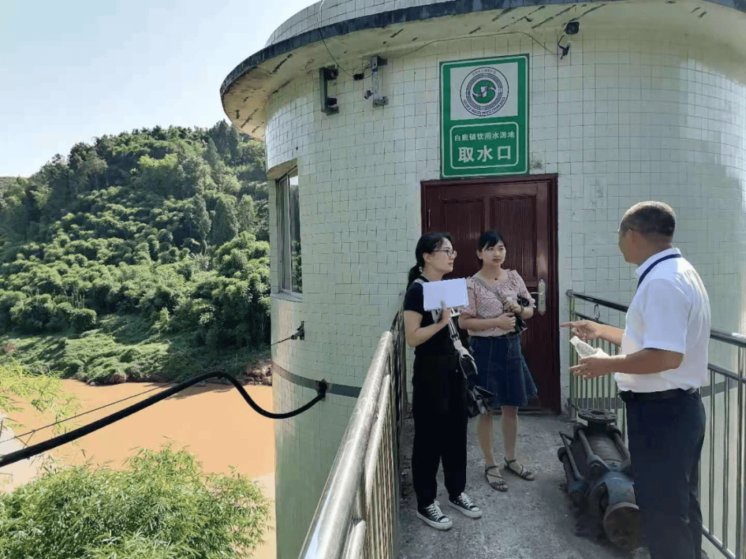 合江县审计局在白鹿镇领导干部任期自然资源资产审计中,聚焦生态环境