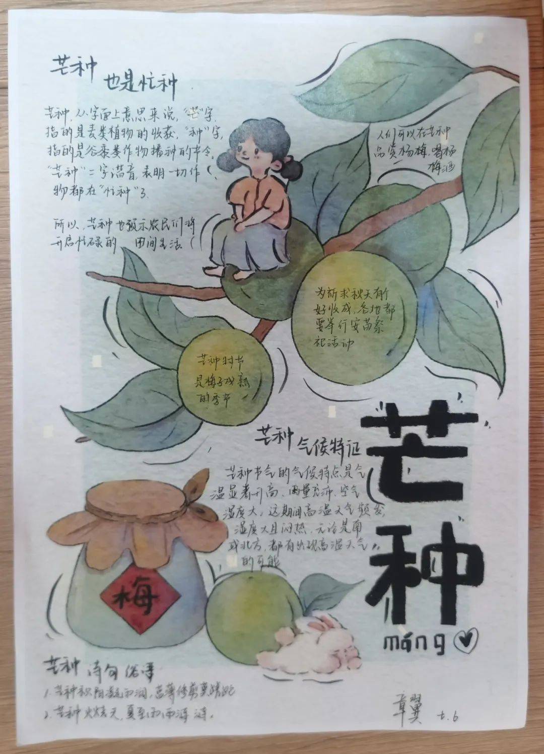 芒种手抄报 简单图片